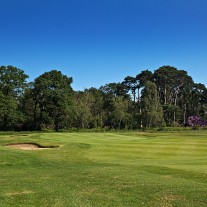 EB-105-01: Royal Ascot 5th Green