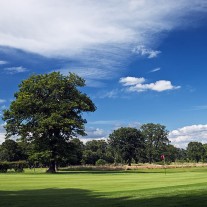 EB-108-01: Royal Ascot 13th Green