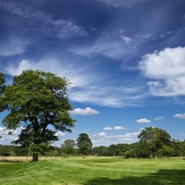 EB-108-02: Royal Ascot 13th Hole