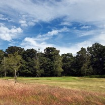 EB-108-04: Royal Ascot 2nd Green
