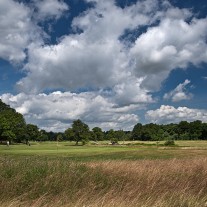 EB-108-05: Royal Ascot 7th Hole