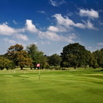 EB-113-06: Royal Ascot 11th Hole