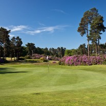 EB-119-08: Swinley Forest 13th Hole