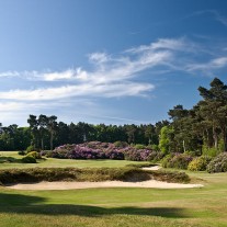 EB-120-02: Swinley Forest 12th Hole