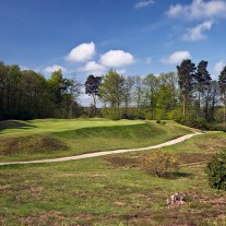 EB-120-07: Swinley Forest 8th Hole