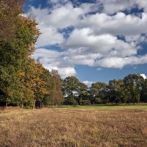 EES-52-05: Royal Ashdown, Old Course, 3rd Green
