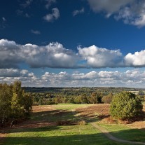 EES-52-10: Royal Ashdown, Old Course, 11th Hole