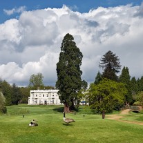 ES-266-08: Geese, Burhill New Course, 18th Hole