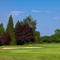 ES-270-04: Effingham, 14th Hole