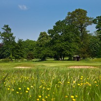 ES-270-09: Effingham, 9th Green