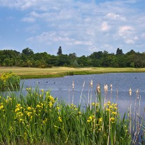 ES-271-12: Burhill New Course, 7th Hole