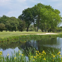 ES-272-05: Burhill New Course, 11th Green