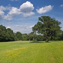 ES-274-04: Chobham, 13th Hole