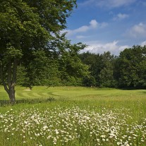 ES-274-09: Effingham, 15th Green & Wildflowers