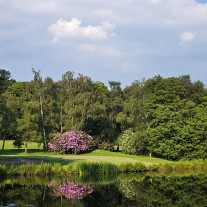 ES-276-05: Silvermere 17th Green