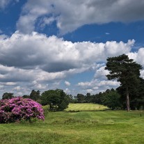 ES-279-05: West Hill 2nd Hole