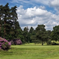 ES-279-06: West Hill 1st Hole & Rhododendrons