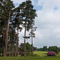 ES-280-03: West Hill 1st Hole from 17th