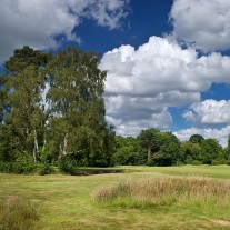 ES-287-05: Walton Heath Old Course 1st Hole