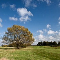 EWS-67-06: Cowdray Park, 10th Hole