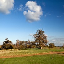 EWS-68-03: Cowdray Park, 11th Hole