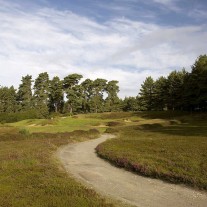 EB-126-09: Swinley Forest, 4th Hole