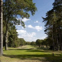 ES-305-08: West Hill, 8th Hole