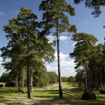 ES-305-09: West Hill, 8th Hole