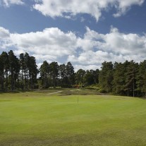 EB-125-08: Swinley Forest, 10th Hole
