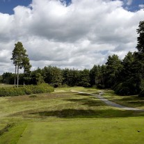 EB-125-11: Swinley Forest, 13th Hole