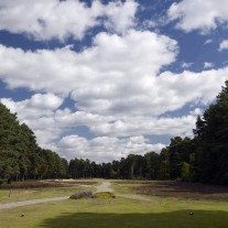 EB-126-03: Swinley Forest, 16th Hole