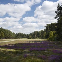 EB-126-05: Swinley Forest, 16th Hole