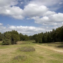 ES-304-12: West Hill, 16th Hole