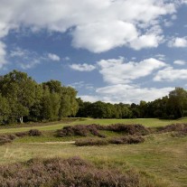 ES-306-05: Wentworth, East Course, 15th Hole