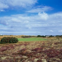 EH-48-03: Hayling, Heather & Gorse behind the 14th Green