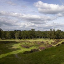 EES-54-04: Royal Ashdown, Old Course, 14th Hole