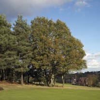 EES-53-07: Royal Ashdown, West Course, 2nd Green & Clubhouse